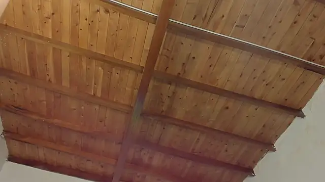 alanna_house1 (Ask my age) - 🍦Rough Pronebone