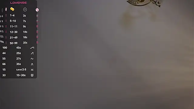 SibleyAllston webcam