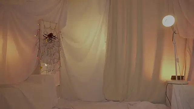 arizonasunrise webcam