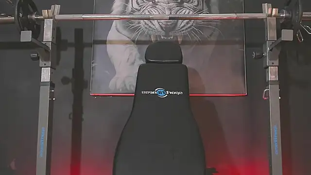 DimitriDeluxe webcam