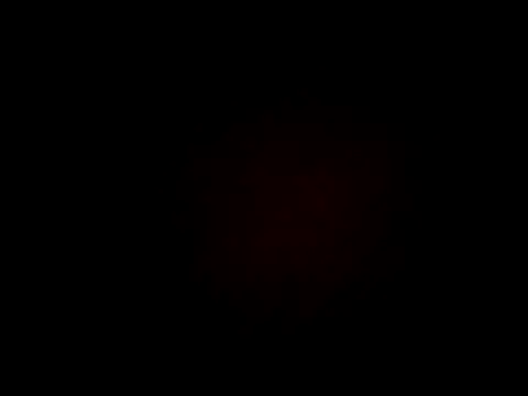 sincuenton24cmts webcam