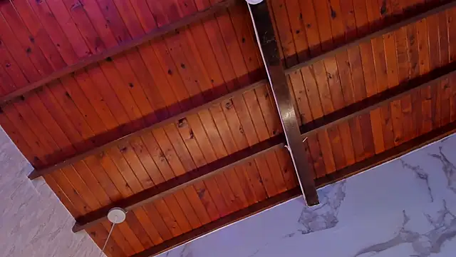 Celeste-Evanns webcam