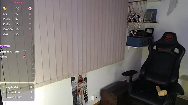 Siriss_boyrag webcam