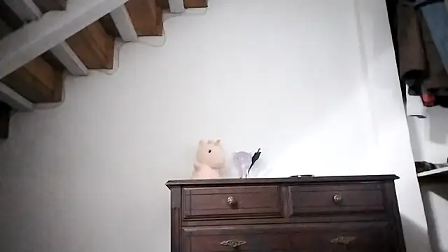 Luna-e-Franco1 webcam