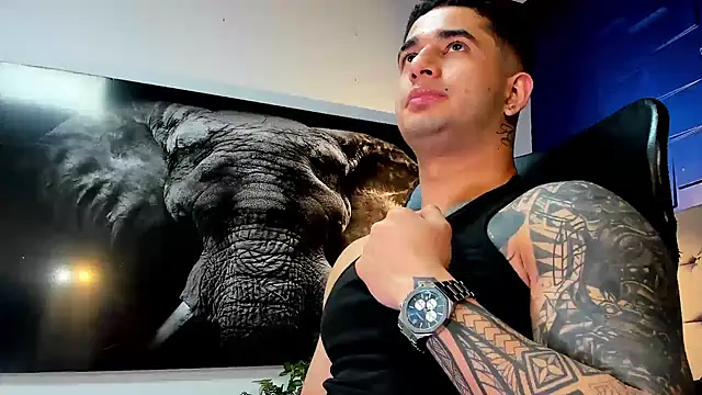 king_falconer webcam