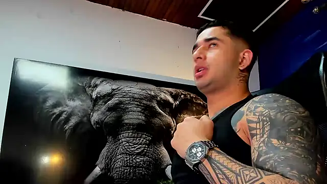 king_falconer webcam