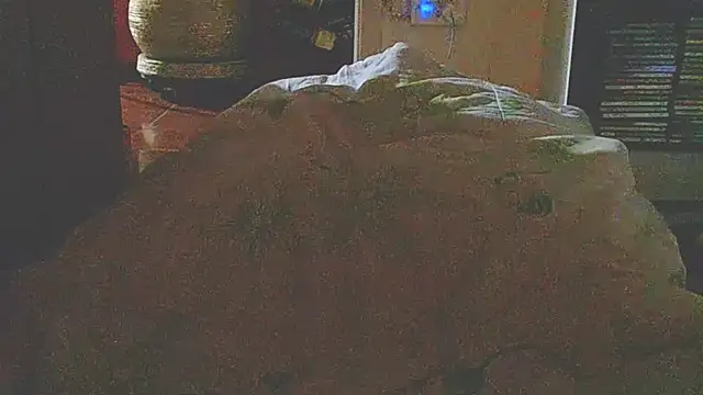 liandragostosa webcam