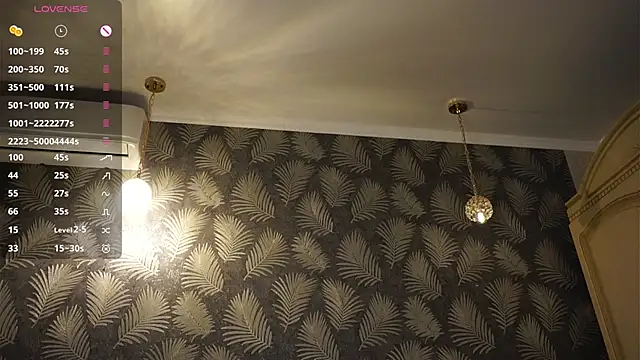 SibleyAllston webcam