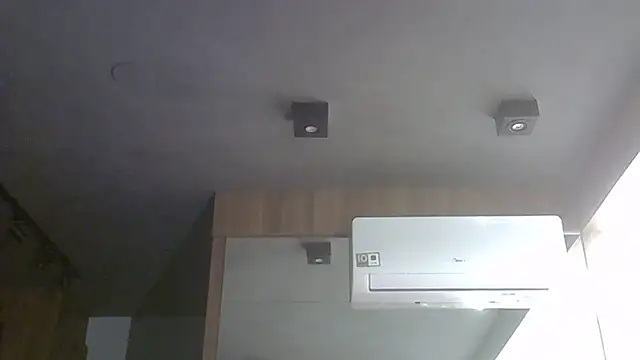 SkinnyKitten webcam