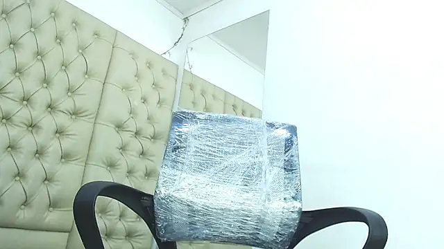 HollmanFronsh webcam