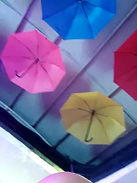 ladykirk (G young) - Shots