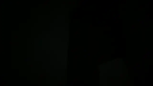 bob_petterson webcam