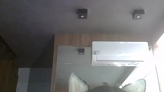 SkinnyKitten webcam