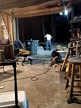 Buffshagswell webcam