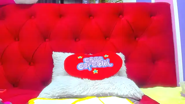 teilor_dreamse webcam