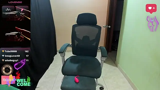 GoldenProject webcam