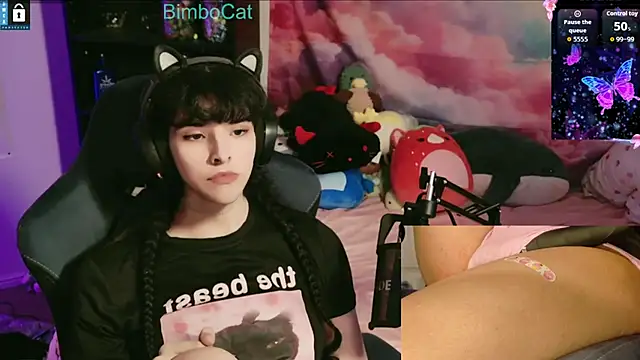 BimboCat webcam