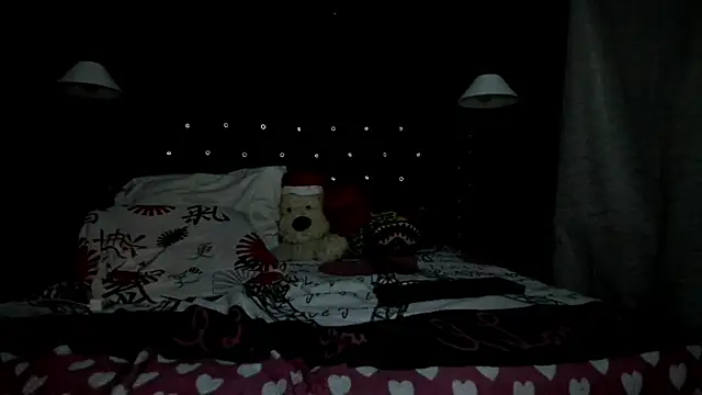 Salomon_koude webcam