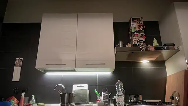 theitalianbear webcam