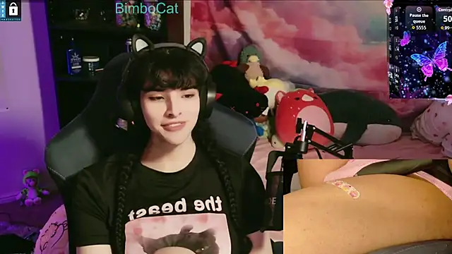BimboCat webcam