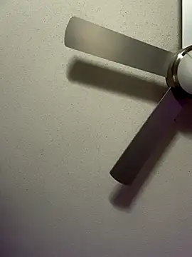 Triggerhappycj100 webcam