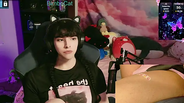 BimboCat webcam