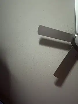 Triggerhappycj100 webcam