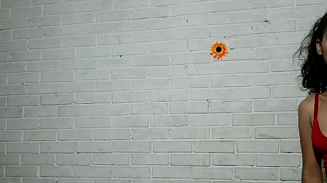 valeriaswang_Lucas webcam