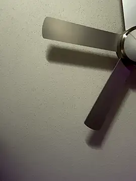 Triggerhappycj100 webcam