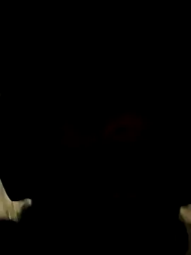 RaphaelDufort webcam