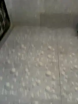 NoddingScorpion webcam