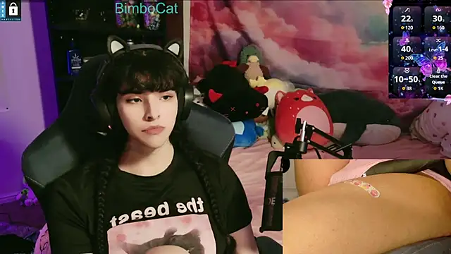 BimboCat webcam