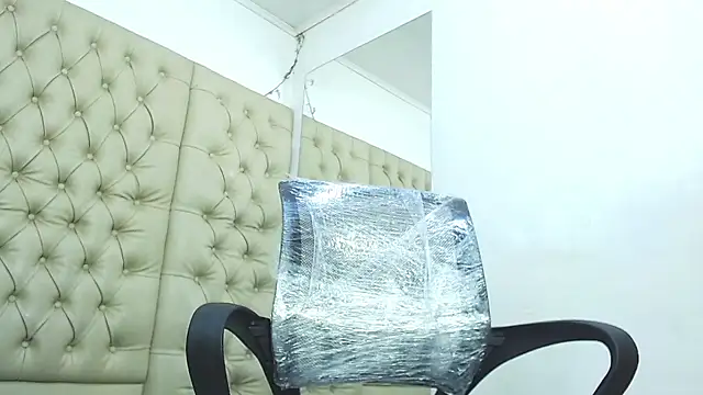 HollmanFronsh webcam