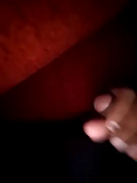 Pagalladka-89 webcam