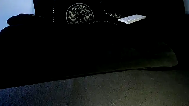 Niquitasparkles webcam