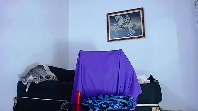 Trix_fiore_oficial webcam