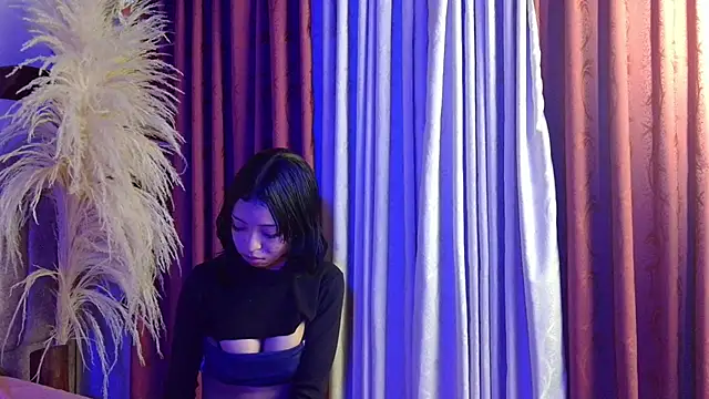 LittleStar_SM webcam