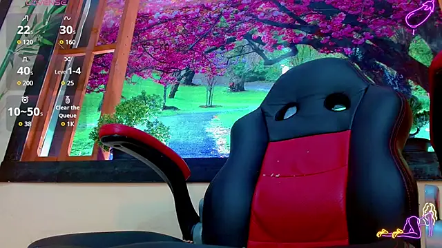 britanny_noroeste webcam