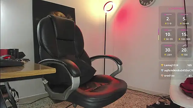 Nicolas_Fellener webcam