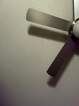 Triggerhappycj100 webcam