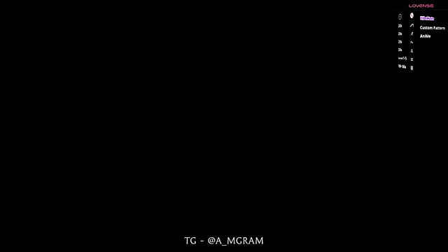 disco_elysium webcam