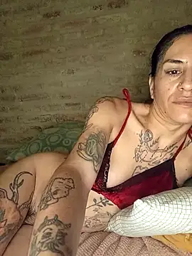 LaCristinatrans webcam