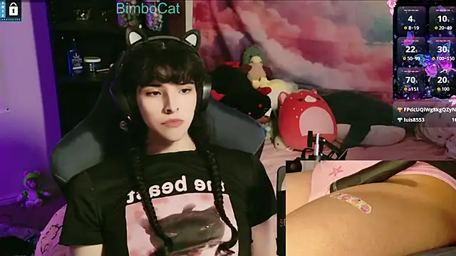 BimboCat webcam