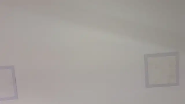 Scarlett_grey1 webcam