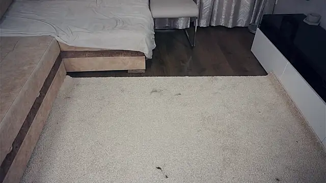 SanoraVillnave webcam