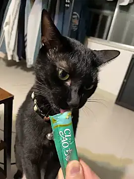 tuki_fu (M young) - パンツになる