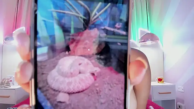 Laurentdupont04 webcam