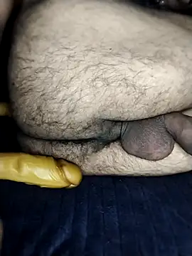 Professor_Leo_ webcam