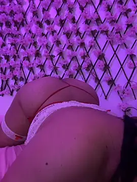 Dominic_Schmit01 webcam