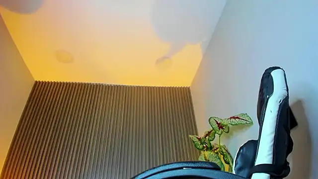 dania_miller_ webcam